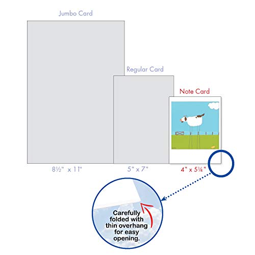 The Best Card Company - 10 Assorted Blank Notes Box Set 4 x 5.12 Inch with Envelopes (10 Designs, 1 Each) Boxed Assorted Kid Cards of Pets - STICK LEGS M6656OCB - style: Stick Legs