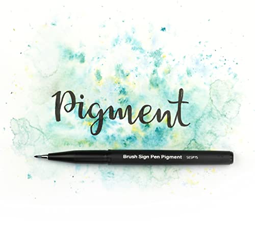 Pentel SESP15 Brush Sign Pen Pigment - Flexible Fibre Tip Marker - Black Pigment Ink - Calligraphy, Lettering & Illustration - Fine, Medium, Broad Point