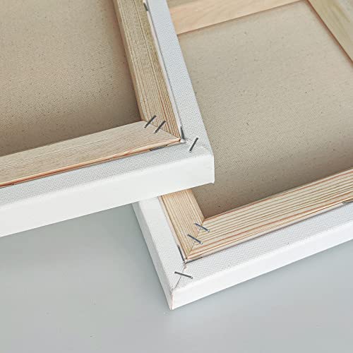 Gallery Wrapped Stretched Canvases for Painting 11x14 Inch 3-Pack, 16 oz Triple Primed Acid-Free 100% Cotton Blank Canvas, Rectangular Spline Canvas for Oil Paint Acrylics Pouring & Wet Art Media - size: 11"x14"(3-Pack), style: Exhibition