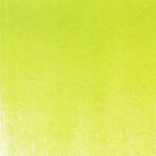 PanPastel Artist Pastels by GOLDEN, Bright Yellow Green, 2.44” / 62mm Pan Diameter, Professional Artist Pastels, Unique Pan Format (cake-like) - color: Bright Yellow Green, size: 1 Count (Pack of 1)