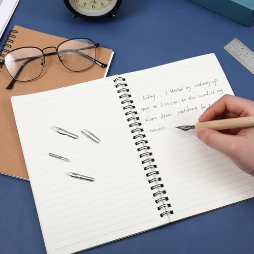 ZEYIYER 11 Pcs Dip Pens, G Pen Ink Nibs, Wooden Drawing Pen Holder with Stainless Steel Dip Pens for Comic, Drawing, Writing, Calligraphy