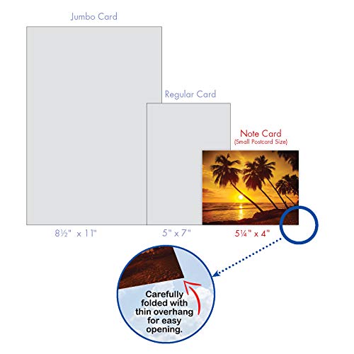 The Best Card Company - Box of 10 All Occasion Cards Blank (4 x 5.12 Inch) - Scenic Landscape Cards Assorted - Palm Beaches M6457OCB-NB - style: Palm Beaches