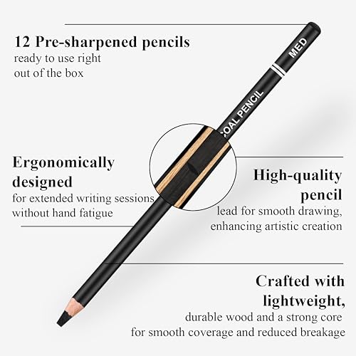 Aenir Charcoal Pencils for drawing, Set of 12, Charcoal Drawing Pencils (S-Soft, Soft, Medium, Hard), Art Supplies for Artist, Sketching, Shading - color: Black