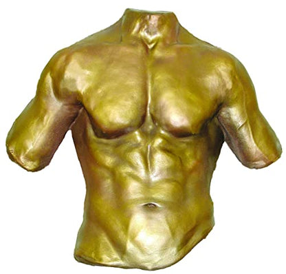 Artmolds Life Molding & Torso Casting Kit - Safe Alginate-Based Mold Powder for 3D Human Body Replicas - Perfect for Pregnancy Belly Casts