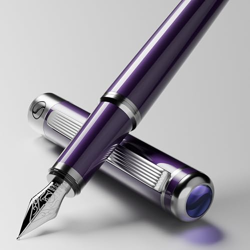 Scriveiner Luxury Fountain Pen - Aubergine, Schmidt Gilded Nib (Fine), Converter, Best Pen Gift Set for Men & Women, Professional, Executive, Office, Nice Pens - color: 9. Aubergine, style: Fine Nib