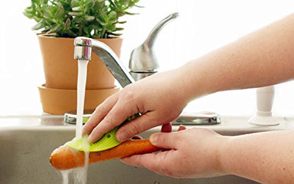 Vegetable Scrubber Brush : Double Sided Fruit and Vegetable Scrubber - Multi Use: Potato Scrubber - Carrot Brush - Trivet - Jar Opener by Cestari Kitchen - color: Green