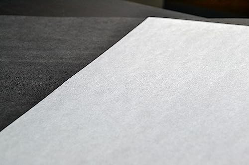 Ecotex® Screen Printing Test Pellons (Black - 15" x 15" - 25 Pack) Disposable Test Screen Sheets for Screen Printing Pallet, Test Pellon Squares for Screen Printing Ink - Screen Printing Supplies - color: Black