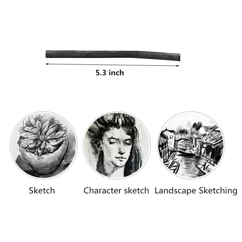 Vine Charcoal, Soft, Black 25 Charcoal Sticks for Drawing, Sketching, and Fine Art, Willow Sketch Charcoal Pencils for Drawing (3-5mm(25pcs)) - style: 3-5mm