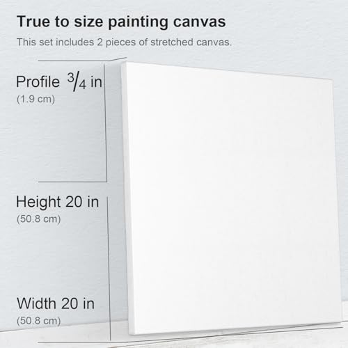 PHOENIX 20x20 Inch 2 Pack Artist Canvas - Large Square Stretched Canvases for Painting - 3/4 Inch Profile, 100% Cotton 11 Oz. Gesso Primed White Blank Professional Canvas Oil & Acrylic Paints - size: 20"x20", style: Traditional