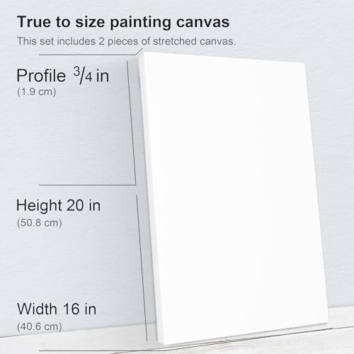 PHOENIX 16x20 Inch 2 Pack Artist Canvas - Large Stretched Canvases for Painting - 3/4 Inch Profile, 100% Cotton 11 Oz. Gesso Primed White Blank Professional Canvas Oil & Acrylic Paints - size: 16"x20", style: Traditional
