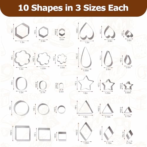 shuielia 30Pcs Mini Geometric Cookie Cutter Set with Box - Stainless Steel Small Cutters for Biscuit, Fruit, Veggie, Polymer Clay & Fondant Baking Tools