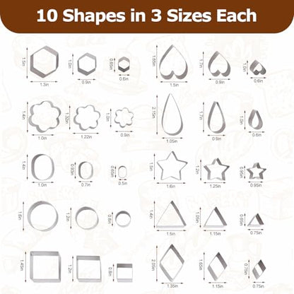 shuielia 30Pcs Mini Geometric Cookie Cutter Set with Box - Stainless Steel Small Cutters for Biscuit, Fruit, Veggie, Polymer Clay & Fondant Baking Tools