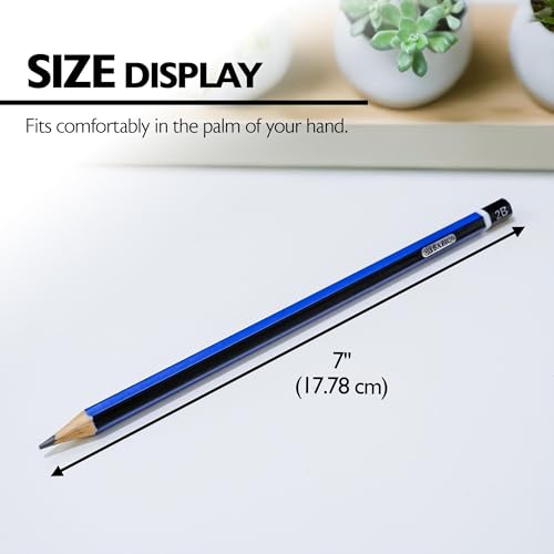 BAZIC PRODUCTS Drawing Sketching Pencils, 8B to HB Graphite, 2-Pack | graphite grades 8B to HB, full tonal range, shading, blending, line work, fine art - size: 1 Count (Pack of 2)