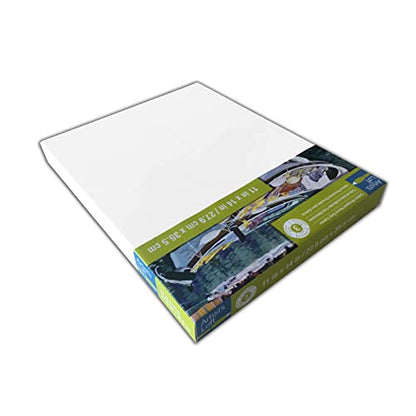 Artist's Loft 11" x 14" Level 3 Gallery Wrapped Heavy Duty Canvas - Archival, Acid Free Cotton Canvas for Paint, Acrylic, & Oils - Bulk 12 Pack - size: 11\ x 14\