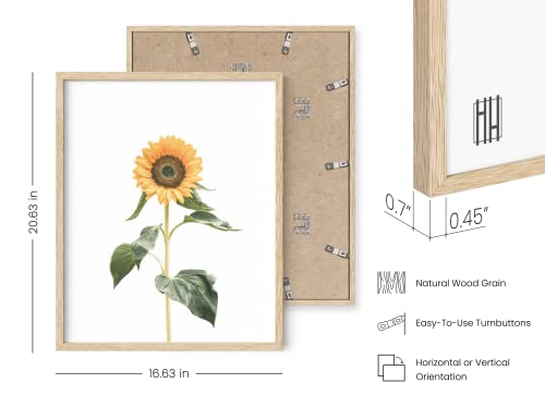 HAUS AND HUES Sunflower Set Collage 16x20 - Framed Beige - color: Sunflower, size: 16x20, style: Beige Framed