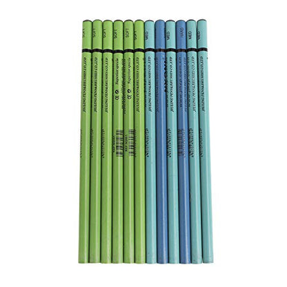 12pcs Black Charcoal Pencil Set for Sketching, Drawing, Coloring, Shading, 6 Soft 4 Medium 2 Hard Sticks,Birthday Xmas Gift for Artist, Hobbyist,Beginner - color: 12pcs*Multi