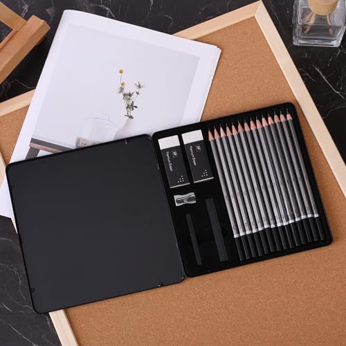 Mr. Pen- Drawing Sketching Pencil Set, 19 pcs, Graphite Pencils (10B-6H) | Graphite Sticks, Erasers, Metal Sharpener, for Drawing, Sketching, Shading & Art Projects - size: 19 pcs