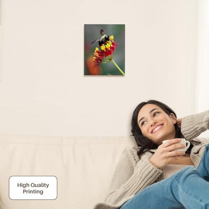 3dRose Macro photograph of a carpenter bee pollinating tropical milkweed. Museum Grade Canvas Wrap 8x10 - size: 8"L x 10"W