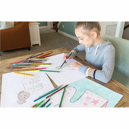 Pacon Drawing Paper, White, Heavyweight, 18" x 24", 500 Sheets - size: 18" x 24", style: Heavy Weight