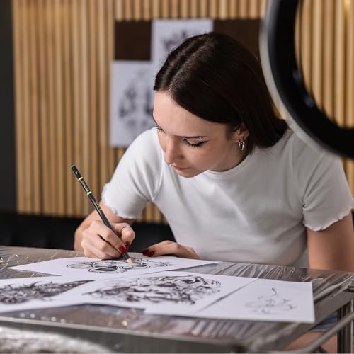 PATIKIL 24Pcs Drawing Pencils for Sketching, 2B Refill Sketch Pencils for Drawing, Graphite Art Pencil Set Professional Resistant Lead for Painting Shading Artist Office Supplies - size: 2B