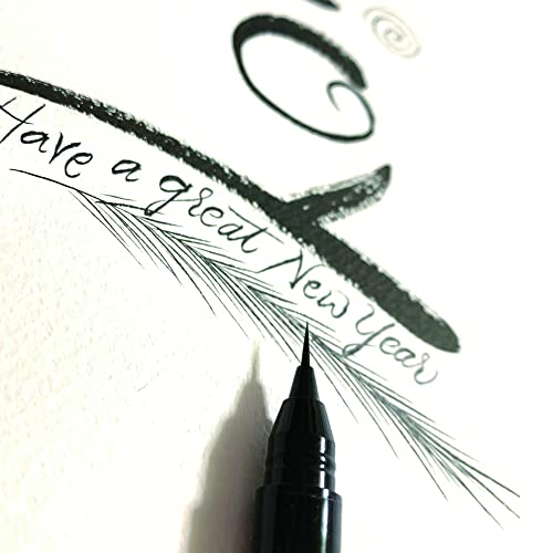 Kuretake Zig Ai Liner, Ultra fine Brush Pen, Black, Professional-quarity, for lettering, calligraphy, illustration, art, sketch, Made in Japan - size: 1 Count (Pack of 1)