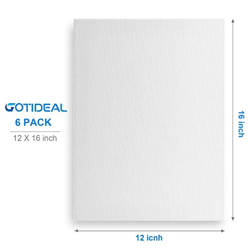GOTIDEAL Stretched Canvas, 12x16 Inch Set of 6, Primed White - 100% Cotton Artist Canvas Boards for Painting, Acrylic Pouring, Oil Paint Dry & Wet Art Media - color: White, size: 12"x16"
