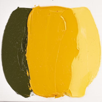 Cobra Study Water Mixable Oil Colour - Permanent Yellow Deep 40ml Tube