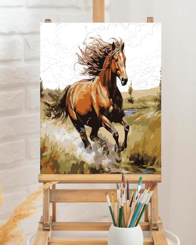 TOCARE Horse Paint by Numbers Kit for Adults,Acrylic Adult Paint by Number Canvas Running Horse,16x20inch Adults' Paint-by-Number Kits - color: TC-OPC-72