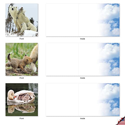 The Best Card Company - 10 Adorable Note Cards Blank (4 x 5.12 Inch) - Wildlife and Animal Cards, Assorted Boxed Set - Mommy Dearest AMQ4961OCB-B1x10 - style: Mommy Dearest