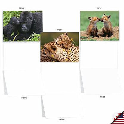 The Best Card Company - 10 Adorable Note Cards Blank (4 x 5.12 Inch) - Wildlife and Animal, Assorted Boxed Set - Animal Smackers M6594OCB - style: Animal Smackers