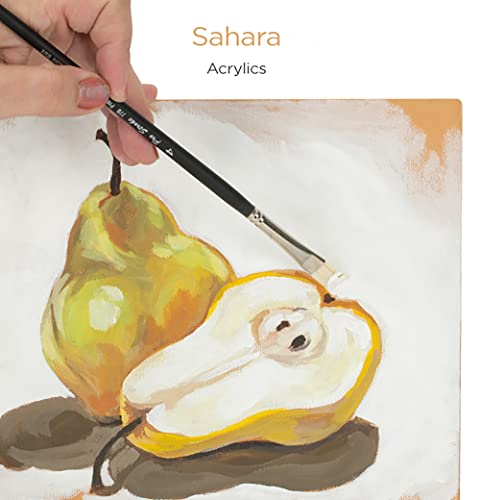 Paramount Pro-Tones All-Media Toned Canvas Panels 3-Pack - Triple-Primed 100% Cotton Canvas, Non-Reflective Colors - Sahara 8x10 - color: Sahara, size: 8x10"