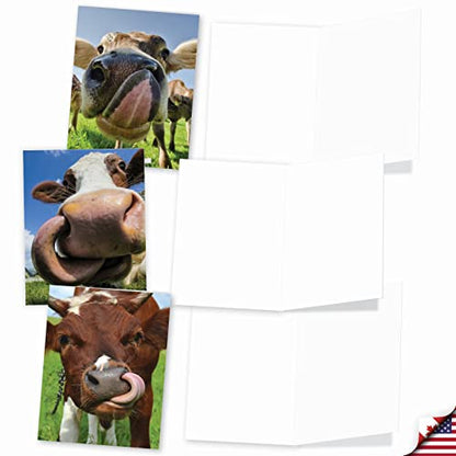 The Best Card Company - 10 Adorable Note Cards Blank (4 x 5.12 Inch) - Wildlife and Animals, Assorted Boxed Set - Cowlicks M4604OCB-B1x10 - style: Cowlicks