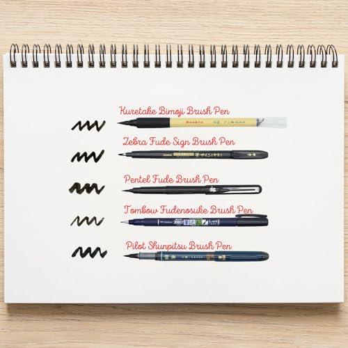 Brush Pen Sampler, Bold Medium Fine, Hard Soft Smooth, Japanese Brush Pen 5-Piece & Ink Testing Card Set