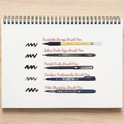 Brush Pen Sampler, Bold Medium Fine, Hard Soft Smooth, Japanese Brush Pen 5-Piece & Ink Testing Card Set