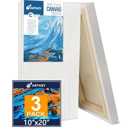 Gallery Wrapped Stretched Canvases for Painting 10x20 Inch 3-Pack, 16 oz Triple Primed Acid-Free 100% Cotton Blank Canvas, Rectangular Spline Canvas for Oil Paint Acrylics Pouring & Wet Art Media - size: 10"x20"(3-Pack), style: Exhibition