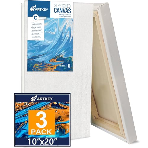 Gallery Wrapped Stretched Canvases for Painting 10x20 Inch 3-Pack, 16 oz Triple Primed Acid-Free 100% Cotton Blank Canvas, Rectangular Spline Canvas for Oil Paint Acrylics Pouring & Wet Art Media - size: 10"x20"(3-Pack), style: Exhibition