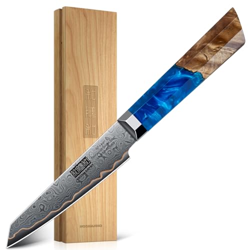 HOSHANHO Damascus Paring Knife 4 Inch, 67-Layer Damascus Steel Professional Small Kitchen Knives, Ultra Sharp Fruit Knife with Ergonomic Blue Resin Stabilized Wood Handle and Wood Gift Box - size: 4"