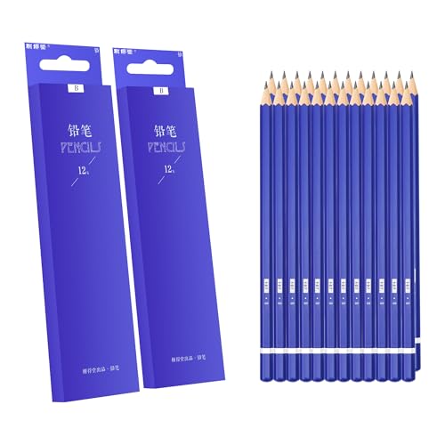 XDT#B Drawing Pencils 24 Piece Set, Pro Art Graphite Sketching&Shading Supplies, Ideal For Kid Beginner Student Adults Artist - color: B 29 Pc Set