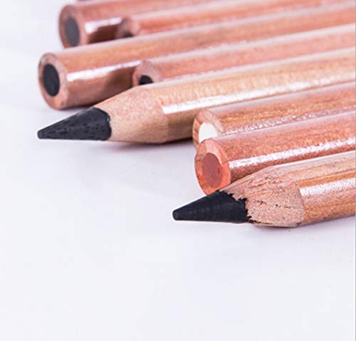 12pcs Colored Charcoal Pencil Set for Drawing, Coloring, Shading, 2 Soft 2 Medium 2 Hard, Black, White, Light Brown, Dark Brownness Sticks,Gift for Artist, Hobbyist,Beginner - color: 12pcs