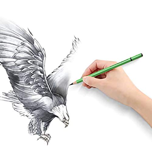 12pcs Soft Charcoal Pencil Set for Drawing,Sketching, Shading,Black Graphite Pencil Sticks,Back to School Stationery Gift for Artist, Hobbyist,Beginner - color: 12pcs*Soft