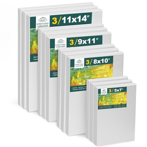 Inburit 12 Pack Canvas for Painting with 11x14, 9 x12, 8x10, 5x7 (3 of Each) Blank Primed Stretched Canvases for Oil, Acrylic & Others, Multi Size Set for Artist, Student and Beginners - size: 12PCS+(4sizex3)