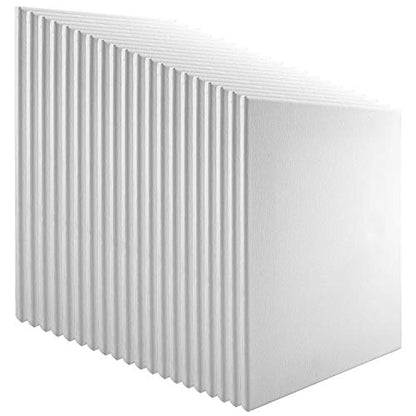 Practica Economy Stretched Cotton Canvas 20-Pack, 20x20 - Acid-Free Acrylic Primed Canvas for Acrylics, Pastels, Graphite, & More! - size: 20x20"