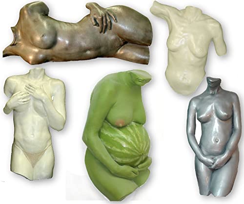 Artmolds Life Molding & Torso Casting Kit - Safe Alginate-Based Mold Powder for 3D Human Body Replicas - Perfect for Pregnancy Belly Casts