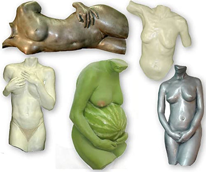 Artmolds Life Molding & Torso Casting Kit - Safe Alginate-Based Mold Powder for 3D Human Body Replicas - Perfect for Pregnancy Belly Casts