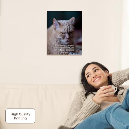 3dRose Ginger Cat. A cat is more intelligent than people believe... Museum Grade Canvas Wrap 11x14 - size: 11"L x 14"W