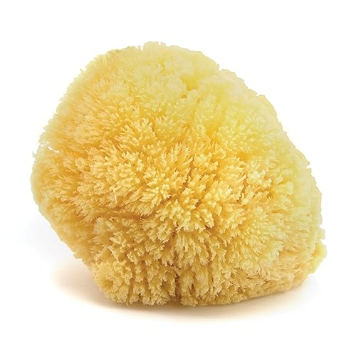 Neptune Caribbean Sea Sponge for Face & Body, Large Approx. 6-7 Inches, Ultra-Soft Bath Sponge, Eco-Friendly & Biodegradable