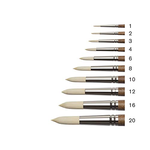 Winsor & Newton Artists' Oil Synthetic Brush, Filbert #1 - style: Filbert #1