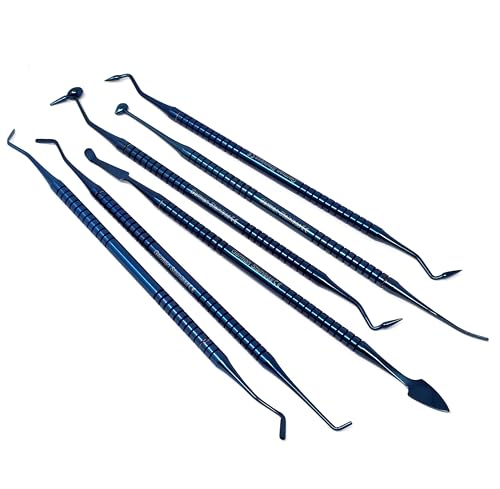 Composite Dental Set of 6 pcs Restorative Plastic Filling Restoration Preparation Carvers Contouring Plugger Ball Burnisher Tooth Cavity Various Decay Removal Double Ended Instruments (Blue) - color: Blue