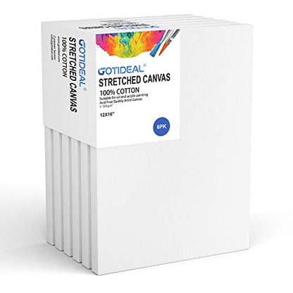 GOTIDEAL Stretched Canvas, 12x16 Inch Set of 6, Primed White - 100% Cotton Artist Canvas Boards for Painting, Acrylic Pouring, Oil Paint Dry & Wet Art Media - color: White, size: 12"x16"