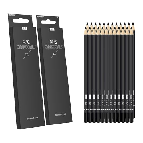 Drawing Charcoal Pencils 24 Piece Set, Pro Art Graphite Sketching&Shading Supplies, Ideal For Kid Beginner Student Adults Artist - color: Charcoal 24 Pc Set